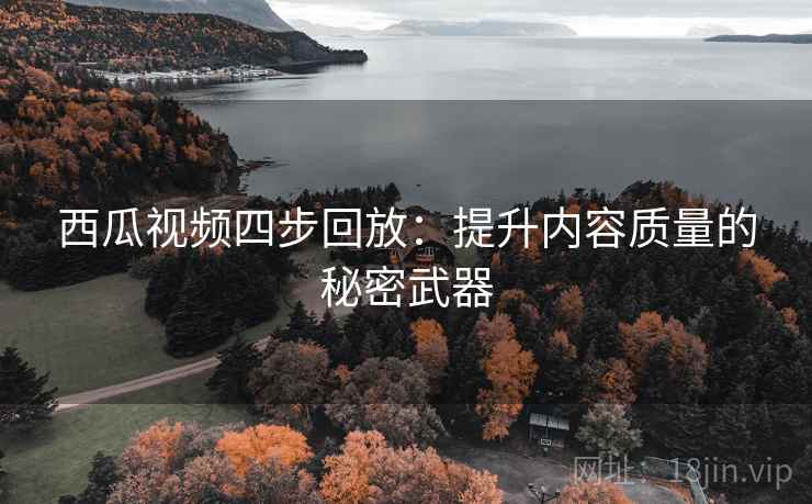 西瓜视频四步回放：提升内容质量的秘密武器